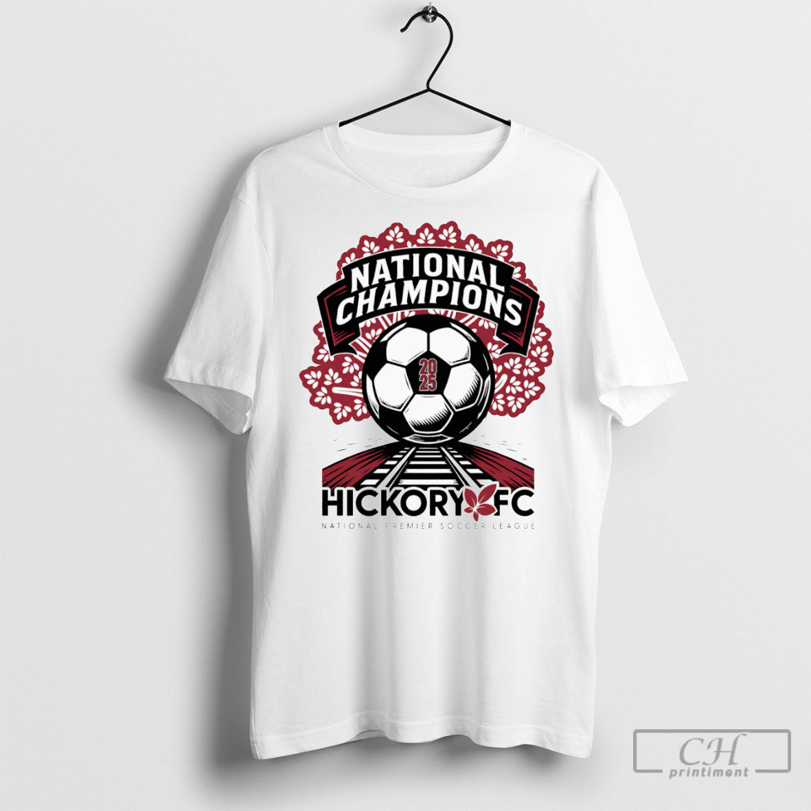 2025 Npsl National Championship Hickory Fc
